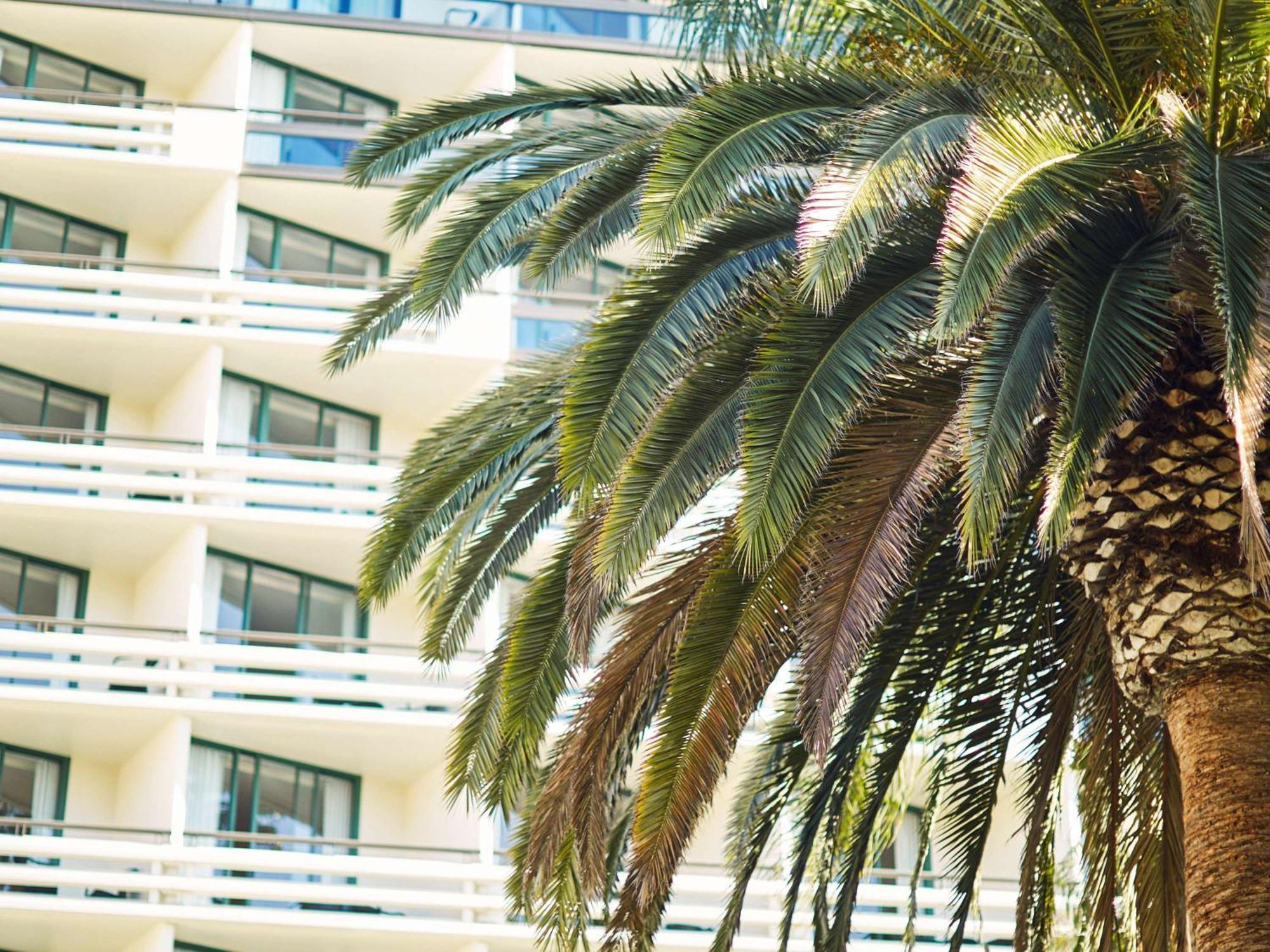 Fairmont Miramar Hotel & Bungalows Santa Monica Exteriér fotografie
